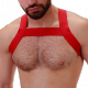 MATT Red Elastic Harness