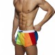 Rainbow Swim Shorts