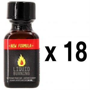 BGP Leather Cleaner LIQUID BURNING 24ml x18