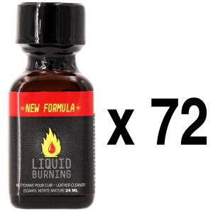 BGP Leather Cleaner  LIQUID BURNING 24mL x72