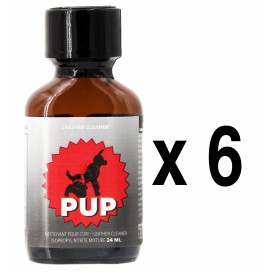 BGP Leather Cleaner PUP 24ml x6