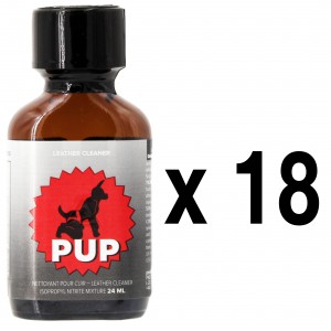 BGP Leather Cleaner PUP 24ml x18