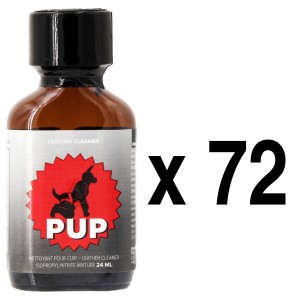 BGP Leather Cleaner  PUP 24mL x72