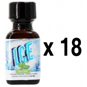 BGP Leather Cleaner  ICE Mint 24mL x18