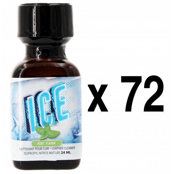  ICE Mint 24mL x72