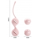 Le palline di Kegel stringono I Rosa