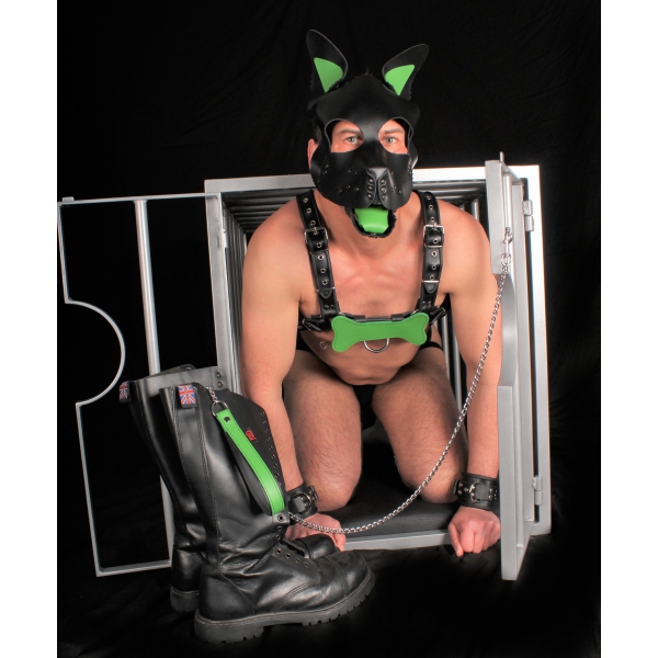 PUPPY SET OHREN UND ZUNGE AUS GRÜNEM LEDER