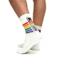 Socks Pride Sk8terboy