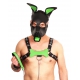 PUPPY SET OHREN UND ZUNGE AUS GRÜNEM LEDER