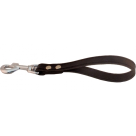 Dog handle with carabiner