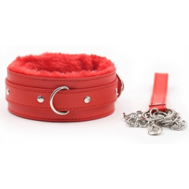 Fur Sweet Red collar and leash