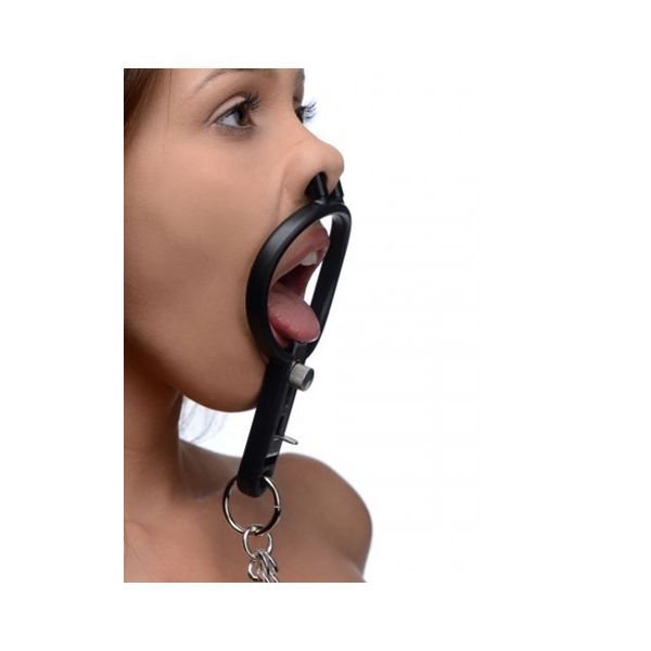 Degraded Mouth gag and nipple clamps