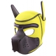 Yellow-Black Neoprene PUPPY balaclava