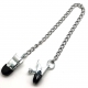 Metalen borstklemmen met ketting