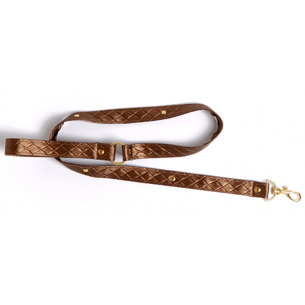 Darling Pet Bronce collar y correa 1m