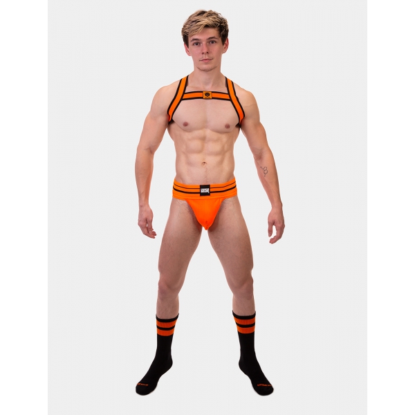 Colin Orange elastic harness