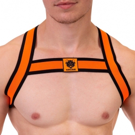Imbracatura elastica Colin Orange