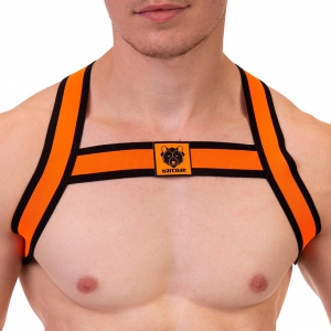 Barcode Berlin Imbracatura elastica Colin Orange