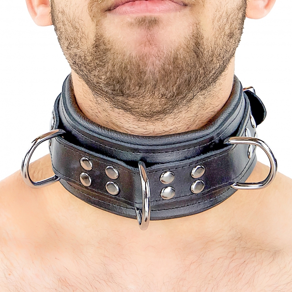 Gepolstertes Halsband aus Leder mit D-Ringen Schwarz