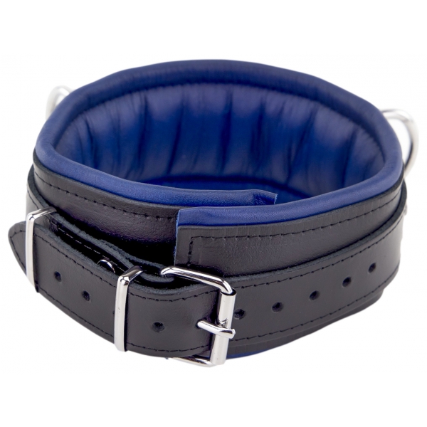 Leather collar - padded - 3 D rings - Black/Blue
