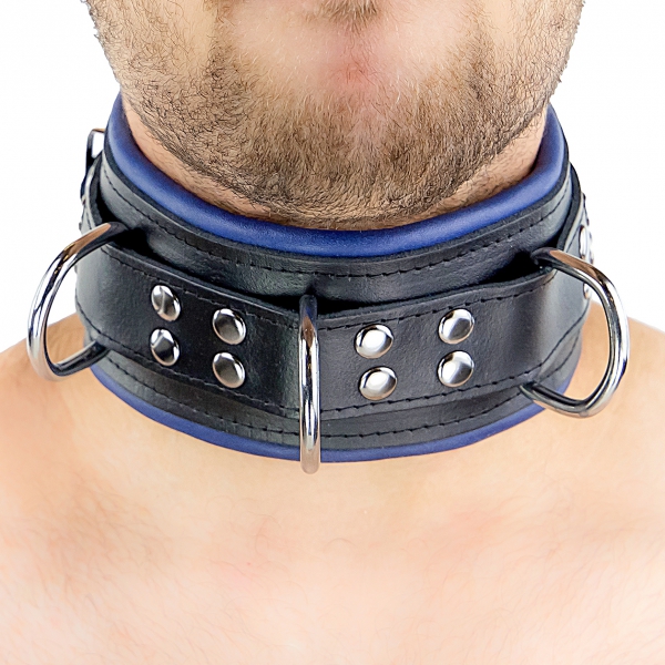 Lederen gewatteerde halsband 3 Ringen D Blauw