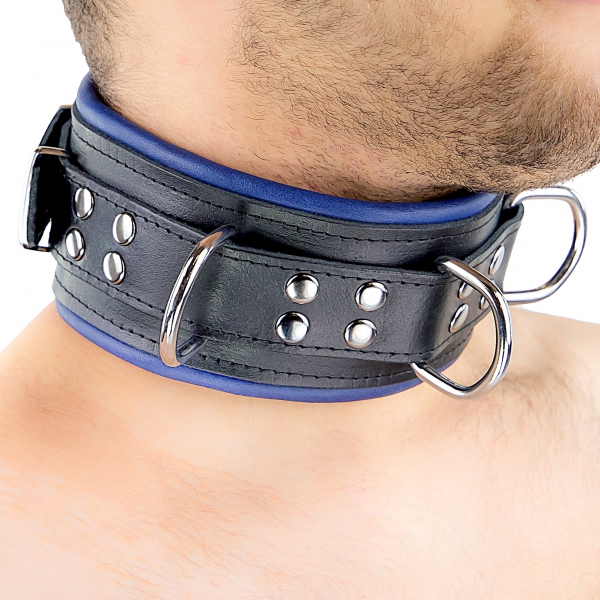 Leren halsband - gewatteerd - 3 D-ringen - Zwart/Blauw