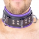 Gepolstertes Halsband aus Leder 3 Ringe D Violett