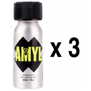 BGP Leather Cleaner AMYL Pocket 24ml x3