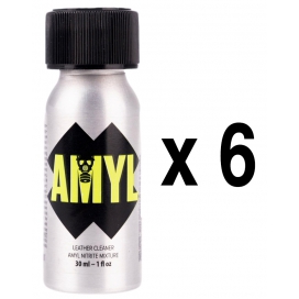 AMYL Pocket 24ml x6