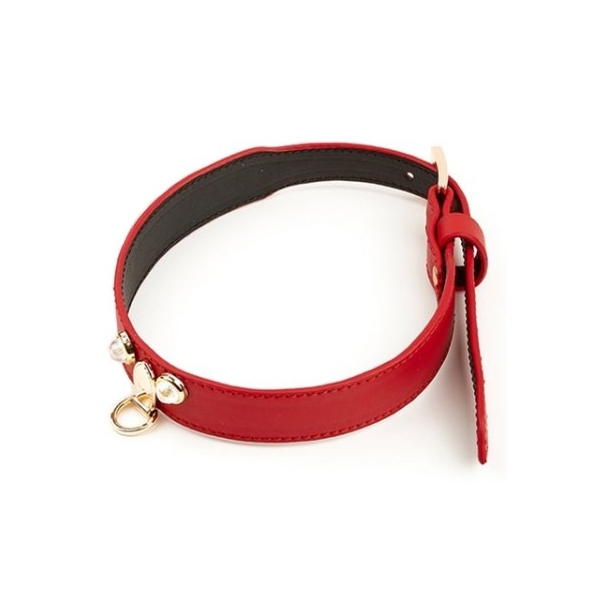 Collar y correa Master Me Red