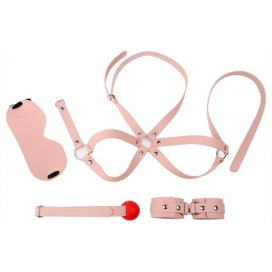 Gehoorzaamheid 4-delige Roze BDSM Inwijdings Kit