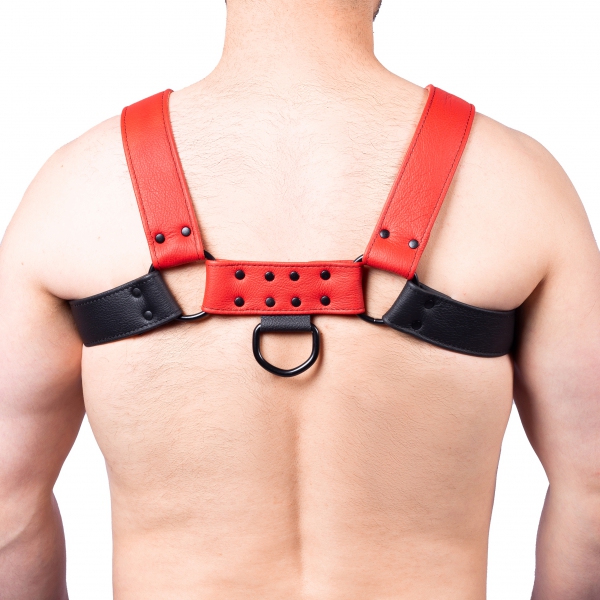 Snap Leather Harness Black-Red