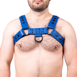 The Red Harness Leather Harness Snap Blue