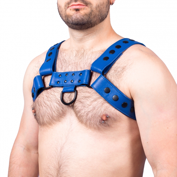 Snap Leather Harness Blue