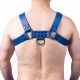 Leather Harness Buckle Blue