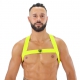 Neon Yellow Elastic Harness