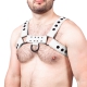 Couro Snap Leather Harness Branco