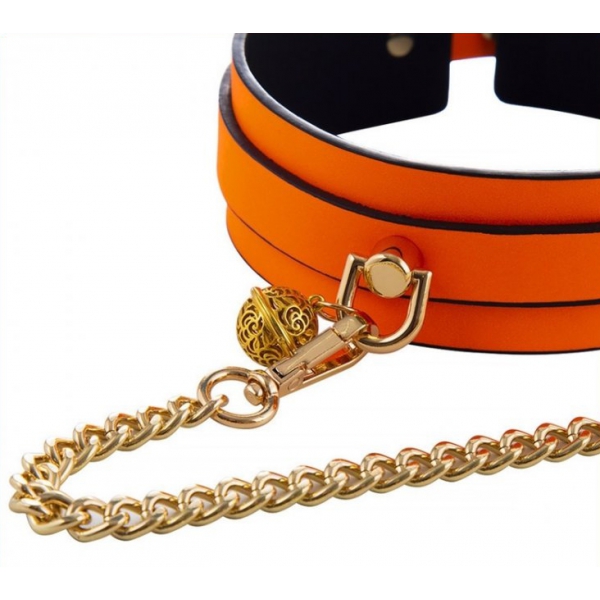 Fosforescerende Lichtgevende Oranje Halsband