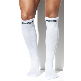 NEVER BACK DOWN High Socks White