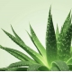 Gel de massage Nuru Mixgliss Aloe Vera 250ml