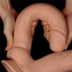 Dildo doppio MEGA DOUBLE LoveToy 26 x 11cm