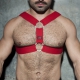 DOUBLE RING Harness Red