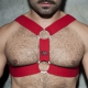 DOUBLE RING Harness Red