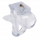 Nano Chastity Cage 5.7 x 3.2cm Transparente