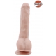 Baldy Champs realistischer Dildo 17 x 4cm