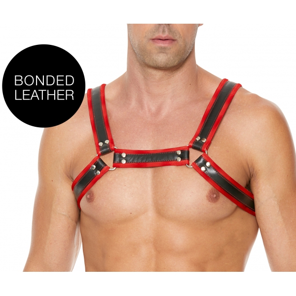 Buckle Bulldog Geschirr Schwarz-Rot