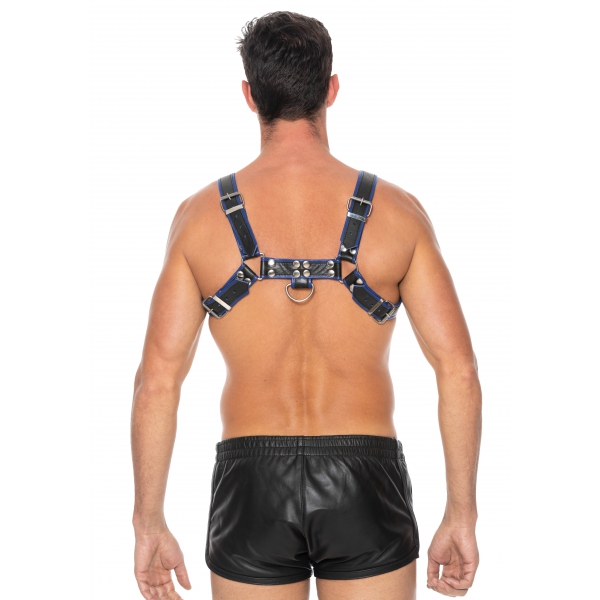 Chest Bulldog Hebegurt Schwarz-Blau