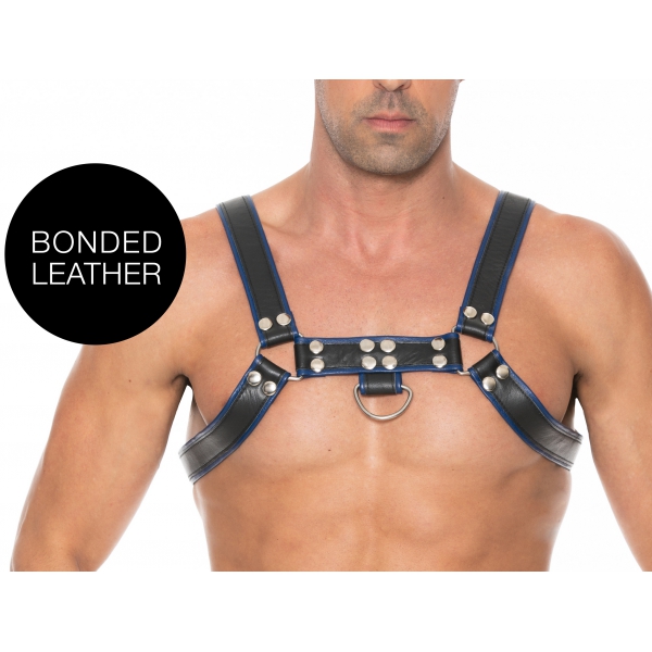 Chest Bulldog Harness Black-Blue