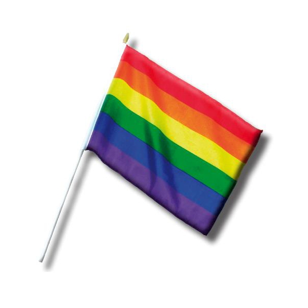 Mini-Flagge Rainbow 20 x 30cm