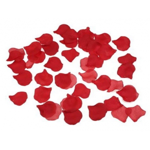 Falsche Blütenblätter x100 Rot